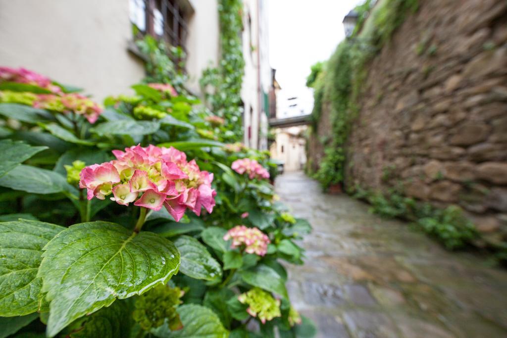 San Michele Al Borgo Bed & Breakfast Castiglion Fiorentino Luaran gambar